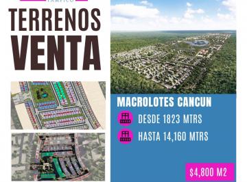 Terreno / Lote · Terreno - Zona Hotelera
