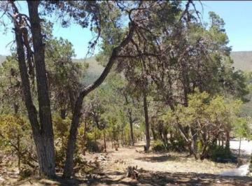 Terreno / Lote , Arteaga · Terreno en Venta en San Antonio de Las Alazanas