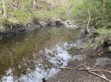 Terreno / Lote , Puente Nacional · Venta 37 Hectáreas Uso Ganadero y Agrícola Municipio Puente Nacional, Veracruz