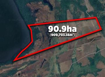 Terreno / Lote , Alvarado · 100 Hectáreas en Venta Frente a Laguna Mandinga Veracruz | Arlette Flores