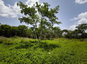 Terreno / Lote , Motul · Terreno en Motul Yucatán Para Inversionista o Desarrollador de 17,792 m²
