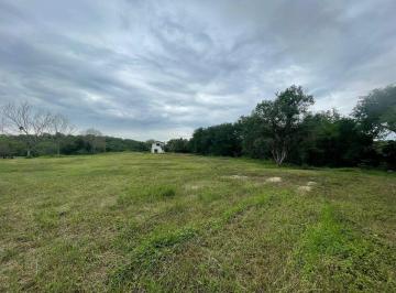 Terreno / Lote , Allende · Terreno en Venta, Allende