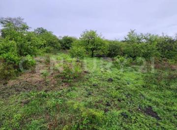 Terreno / Lote · 2000m² · Terreno en Venta en Tlayacapan