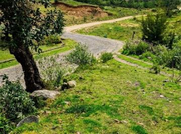 Terreno / Lote · 320m² · Terreno en La Comunidad de Chilteje de La Cruz, Arbolada