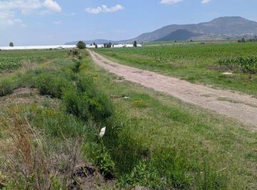 Terreno / Lote · 10000m² · Se Vende Parcela de Riego por Hectárea en El Pueblo Mágico de Amealco de Bonfil