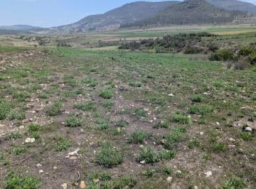 Terreno / Lote · 7000m² · Variedad de Terrenos Agrícola en Amealco de Bonfil, Pueblo Mágico