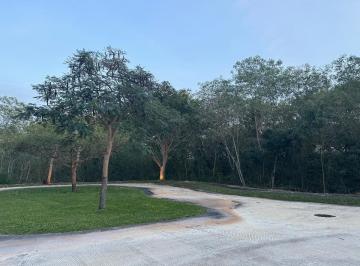Terreno / Lote · 522m² · Terreno en Venta Al Norte de Mérida