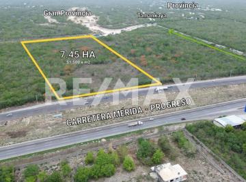 Terreno / Lote · 74553m² · Rebajado de $1,500 a $1,150 m² Terreno en Venta de 7.45ha Carretera Mérida Progre - (4)