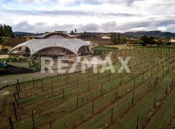 Terreno comercial · 30000m² · Vinícola en Venta – Valle de Guadalupe - (4)