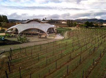 Terreno comercial · 30000m² · Vinícola en Venta – Valle de Guadalupe - (4)