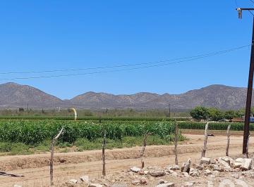 Terreno / Lote · 25600m² · Terreno Agricola Excelente Para Negocio o Huerto Familiar en Los Planes Bcs