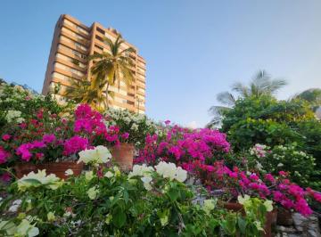 Departamento , Zihuatanejo de Azueta · Departamento en Venta en Trapiche Ixtapa