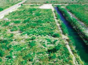 Terreno / Lote · 800000m² · Hectáreas en Venta a Pie de Carretera Mérida - Chicxulub