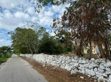 Terreno / Lote · 7200m² · Extenso Terreno en Suma de Hidalgo, Yucatán