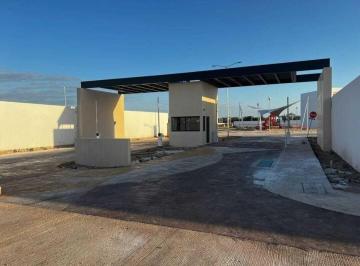 Terreno / Lote · 599m² · Terreno Recidencial en Venta en Esquina Privada San Pedro Cholul