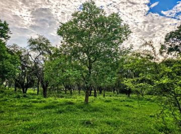 Terreno / Lote , Allende · Terreno de Venta en Allende Nuevo León.
