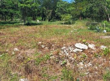 Terreno / Lote · Terreno en Venta en Ucu Yucatán