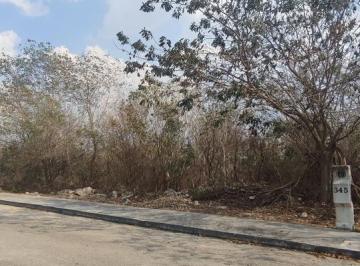 Terreno / Lote · Terreno en Venta Privada Conkal