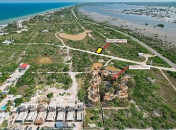 Terreno / Lote · 250m² · ?????