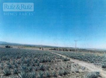Terreno / Lote · 2000000m² · Terreno en Romita Gto.