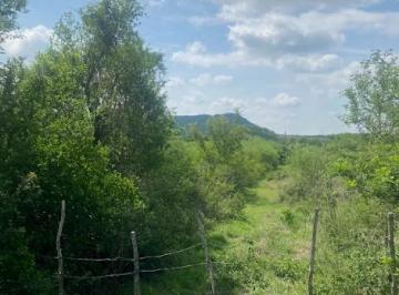Terreno / Lote , Montemorelos · Terrenos en Venta en Montemorelos y Loma Prieta