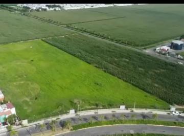 Terreno comercial , Zapopan · Terreno de 15,000 m² en Campo Real, Zapopan, Jalisco, México.