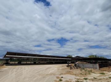 Terreno / Lote · 450000m² · Rancho en Venta en San José Iturbide, Guanajuato, con Pozo de Agua