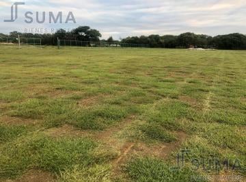 Terreno / Lote · 70000ha · Terreno en Renta en Puerto Industrial de Altamira Tamaulipas.