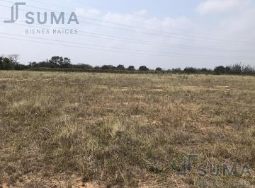 Terreno / Lote · 50000m² · Renta de Patio Industrial en Ejido Ricardo Flores Magón, Altamira Tamaulipas.