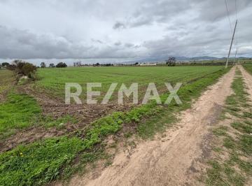 Terreno comercial · 33895m² · Venta de Terreno en Chimalpa Tlalayote, Apan Hidalgo. - (4)