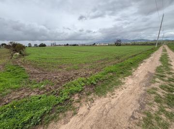 Terreno comercial · 33895m² · Venta de Terreno en Chimalpa Tlalayote, Apan Hidalgo. - (4)