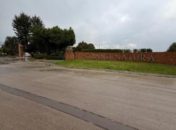 Terreno / Lote · 218m² · Terreno - Fraccionamiento Camino Real