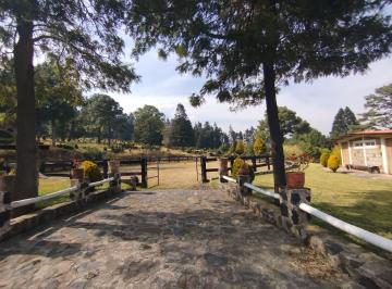 Rancho de 6 habitaciones, Tlalpan · Rancho en Venta en Santo Tomas Ajusco