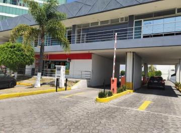 Local comercial · 36m² · Local en Renta - (4)