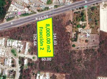 Terreno / Lote 8000m² Venta Pueblo Conkal · ¡Oportunidad Única! Terreno de 8,000 m² Sobre Carretera Mérida - Motul, Conkal