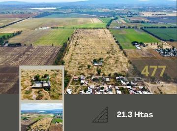 Terreno comercial · 212997m² · Terreno en Venta en Romita, Gto