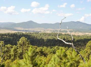 Terreno / Lote , Mazamitla · Terreno en Fraccionamiento en Venta en Mazamitla