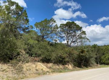 Terreno / Lote , Arteaga · Terreno en Venta, Los Lirios Arteaga.
