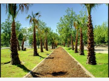 Terreno / Lote , Durango · Terreno en Venta en Mision Real Castilla