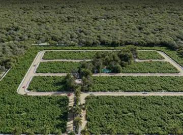 Terreno / Lote , Tulum · Terreno en Venta en Beecheii en Tulum Quintana Roo