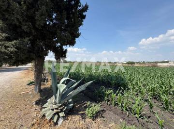 Terreno / Lote · 10000m² · Venta de Terreno Residencial en El Romeral, Corregidora, Querétaro - (4)