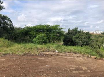 Terreno / Lote · 17962m² · Terreno en Venta a un Costado del Fraccionamiento Terranova, Emiliano Zapata, Ver.