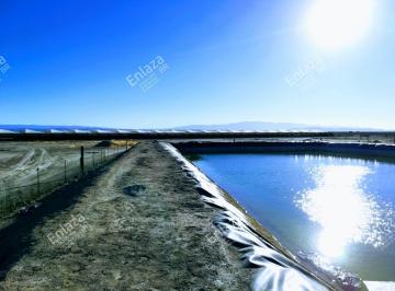 Terreno Rancho en venta, Parras Coah. · Terreno Rancho Parras Coah.
