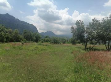 Terreno / Lote · 6748m² · Terreno en Venta Tlayacapan, Morelos