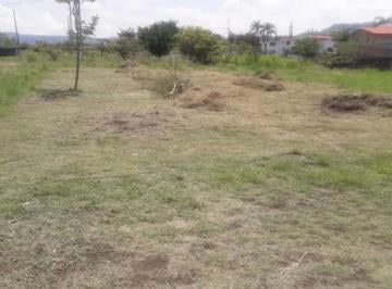 Terreno / Lote · 200m² · Venta Terreno en Fraccionamiento Privado Tlayacapan, Morelos