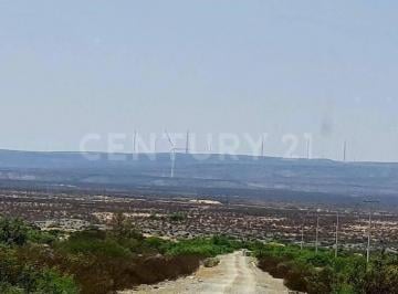 Local comercial · 38000000m² · Terreno en Venta Ramos Arizpe Coahuila