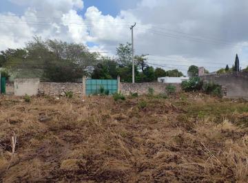 Terreno / Lote , Mérida · Terreno en Venta en El Centro de Mérida, Barrio de Santiago