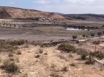 Terreno / Lote , Ensenada · Terreno en Venta | 4 Hectáreas de Potencial | Natal Valle de Guadalupe