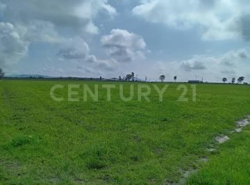 Terreno / Lote · 30000m² · Terreno en Venta en Polotitlan, Estado de Mexico