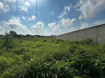 Terreno / Lote , Mérida · Terreno en Venta Ubicado en Chichí Suárez